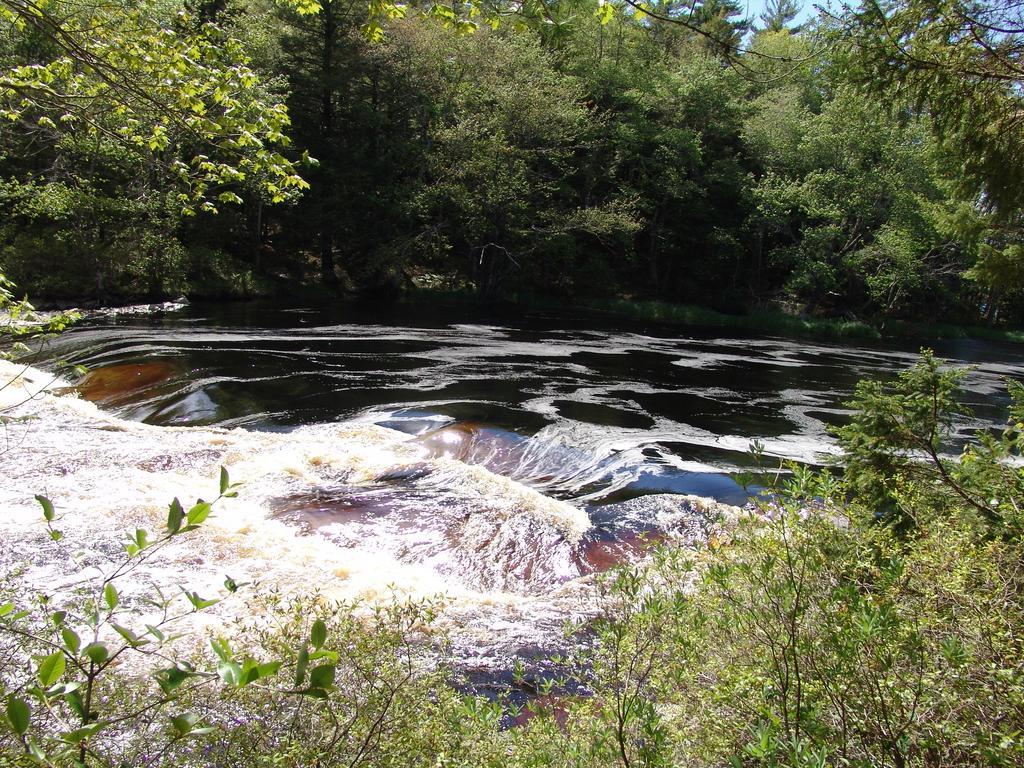 Roseway River Cottages Шелбърн Екстериор снимка
