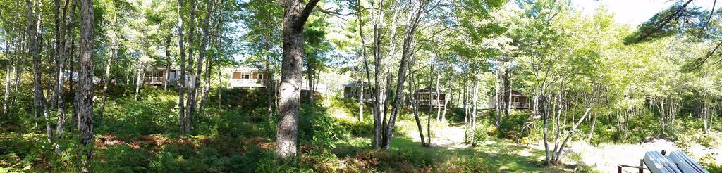 Roseway River Cottages Шелбърн Екстериор снимка