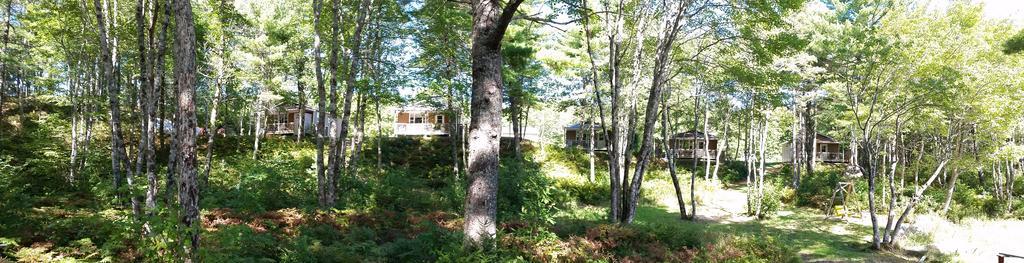 Roseway River Cottages Шелбърн Екстериор снимка