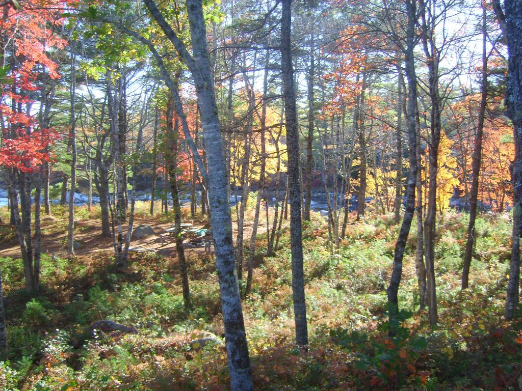 Roseway River Cottages Шелбърн Екстериор снимка