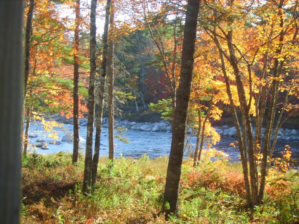 Roseway River Cottages Шелбърн Екстериор снимка