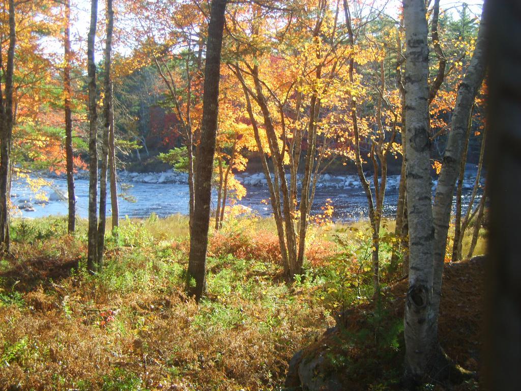 Roseway River Cottages Шелбърн Екстериор снимка