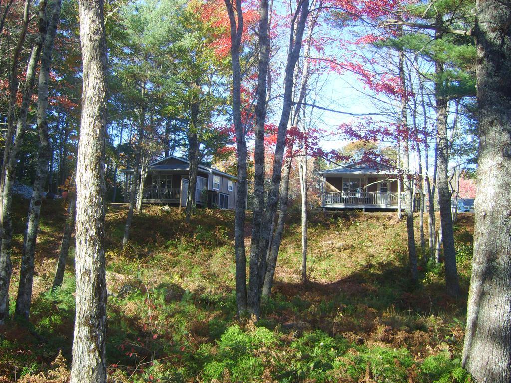 Roseway River Cottages Шелбърн Екстериор снимка