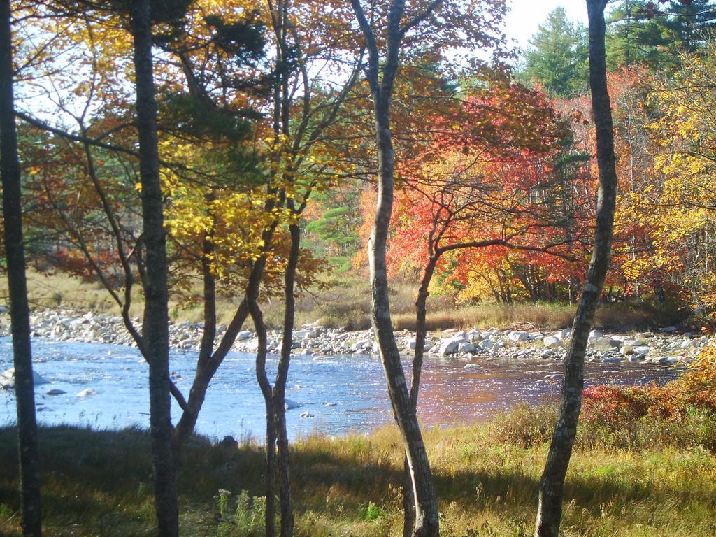 Roseway River Cottages Шелбърн Екстериор снимка